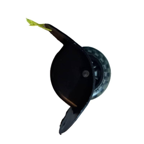 null
